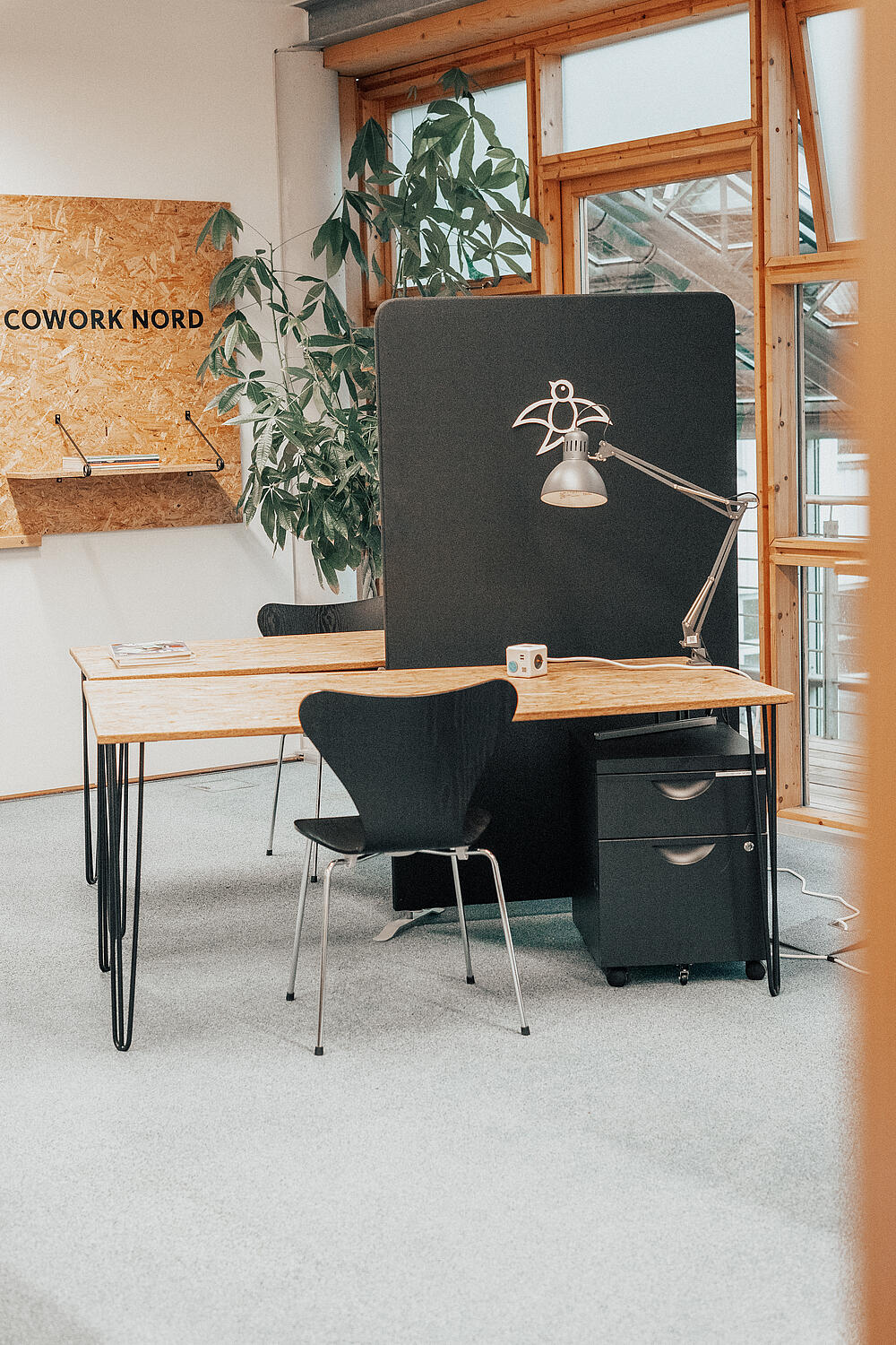 Coworking