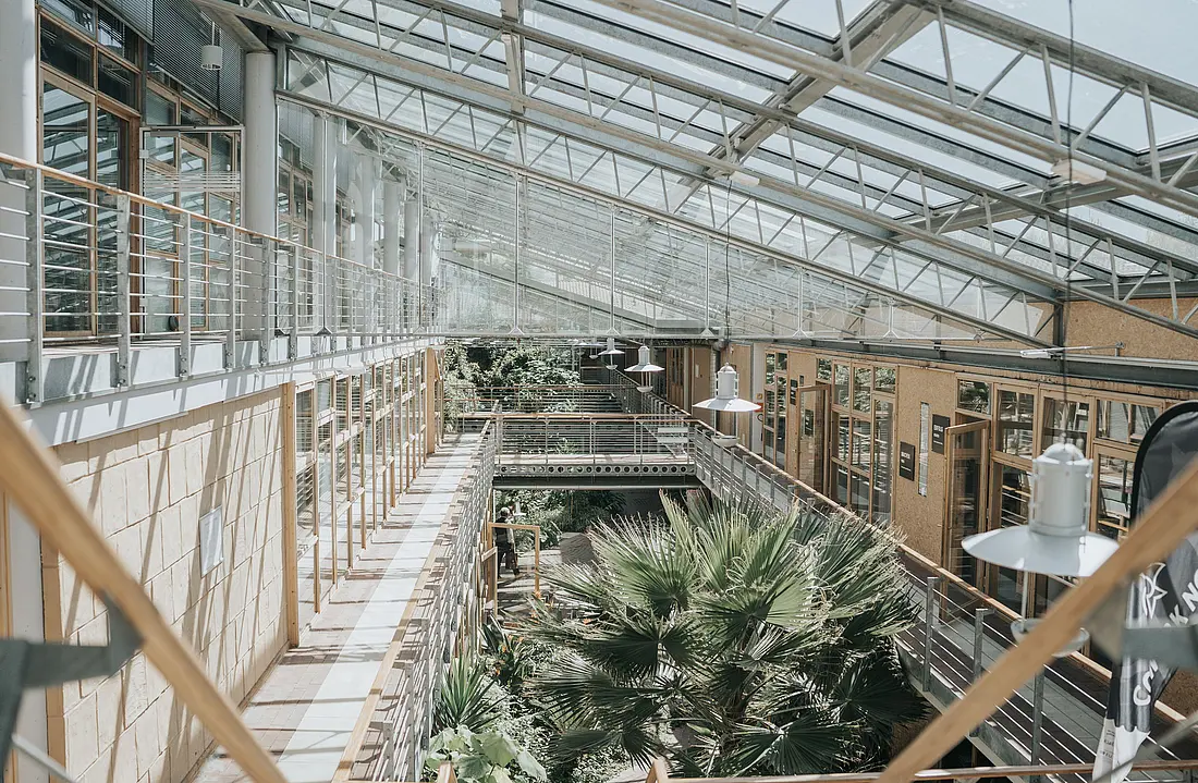 Großes Glasdach mit Stahlträgern. Darunter begrüntes Atrium, Holzelemente und große Fensterelemente, die zu den Büros gehören.